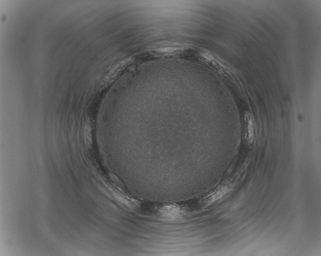 X0000068840562200605051304