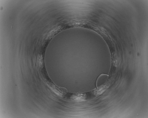 X0000068840563200605051304