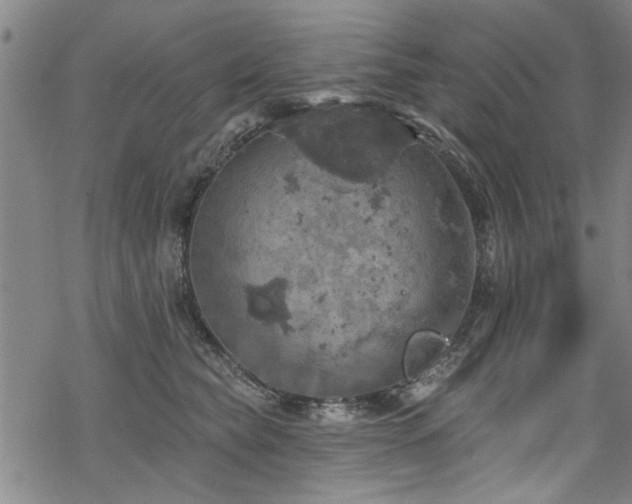 X0000068840565200605051305