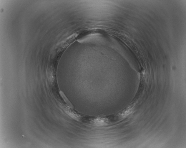 X0000068840566200605051305