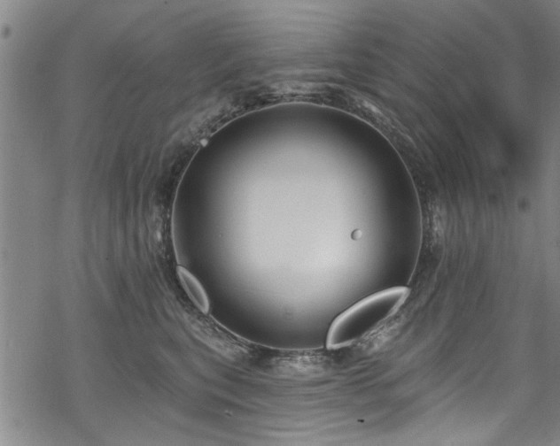 X0000068840567200605051305