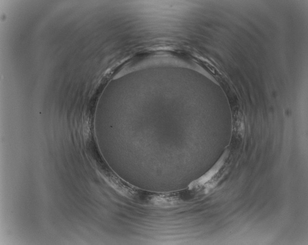 X0000068840568200605051305