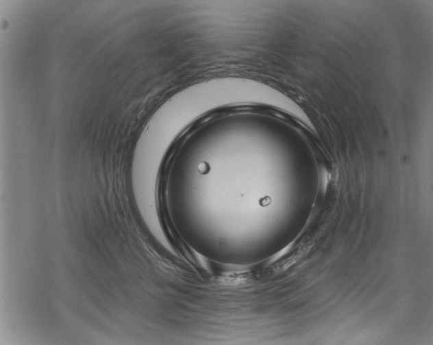 X0000068840570200605051305