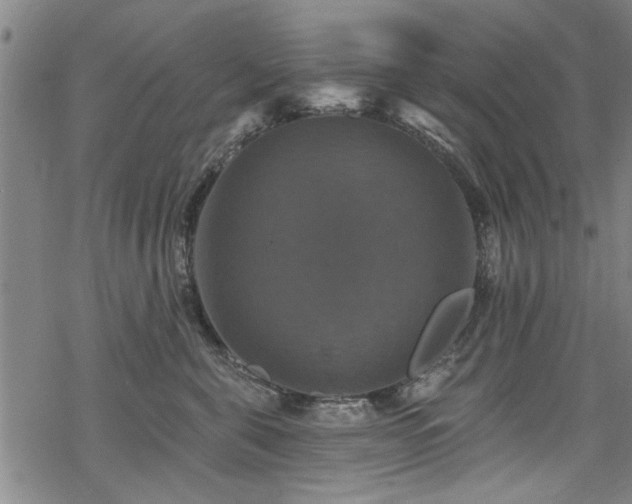 X0000068840571200605051305