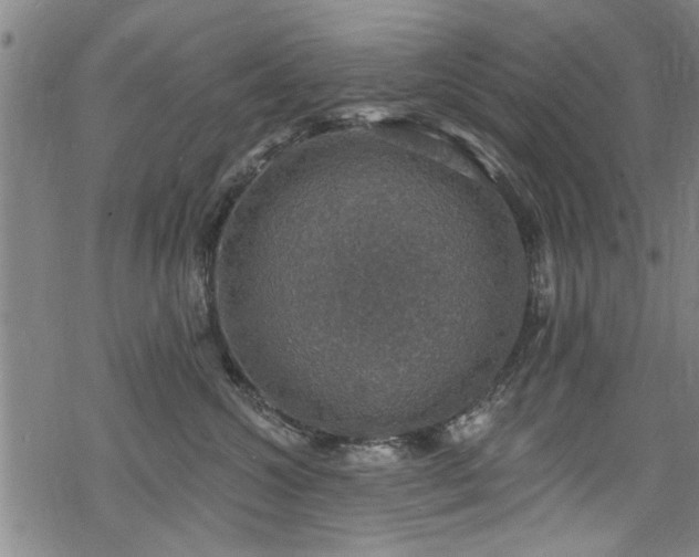 X0000068840572200605051305