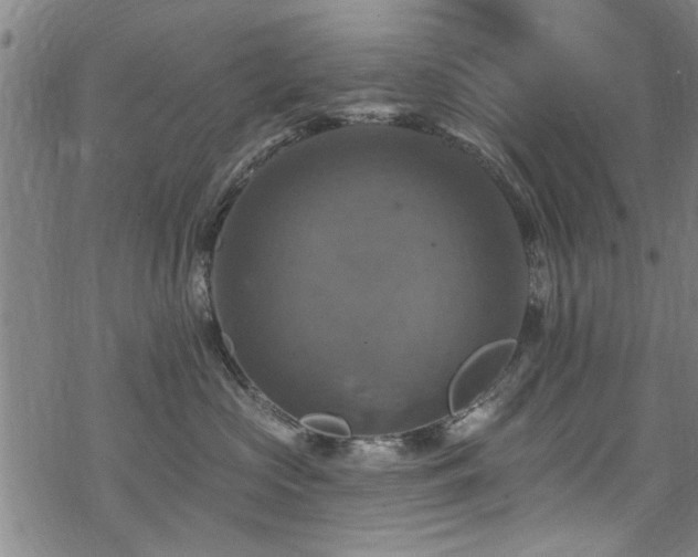 X0000068840573200605051305