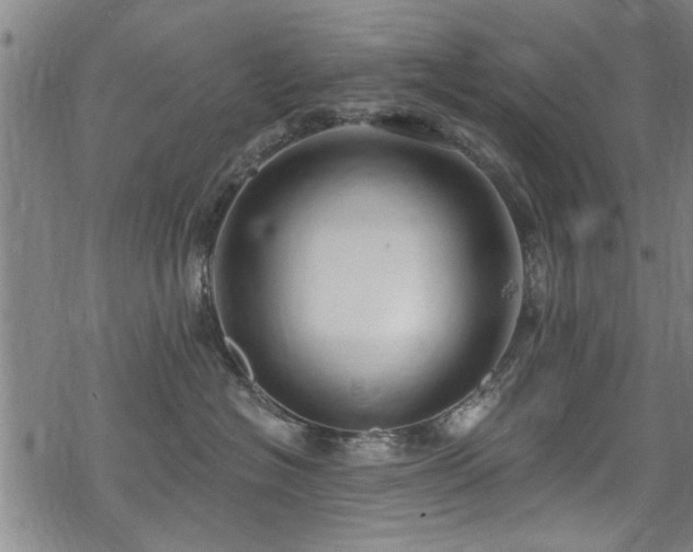 X0000068840574200605051305