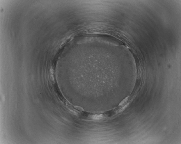 X0000068840575200605051305