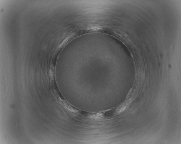 X0000068840576200605051305