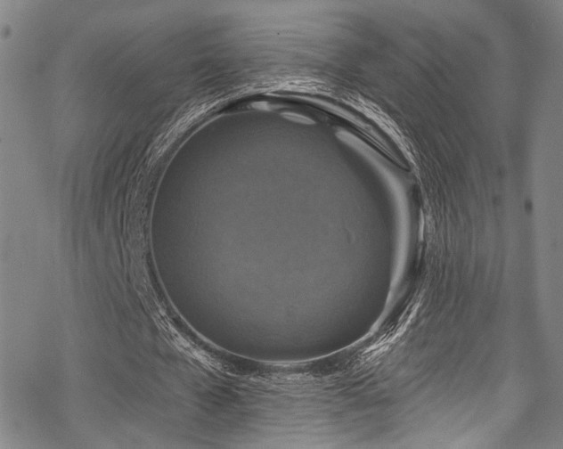 X0000068840577200605051304