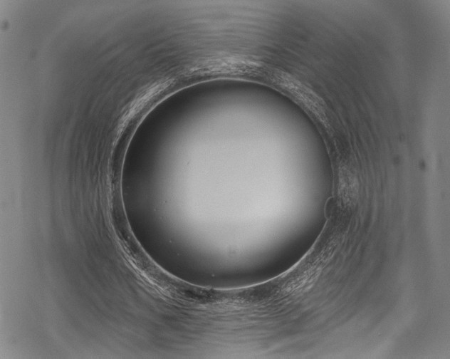 X0000068840578200605051304