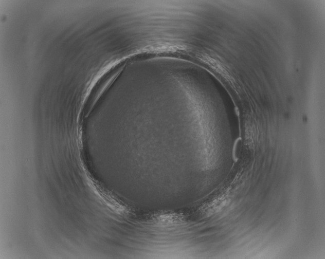 X0000068840584200605051304