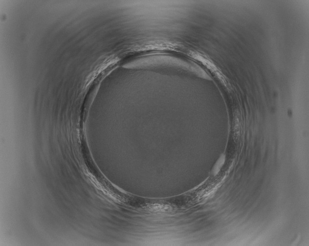 X0000068840585200605051304