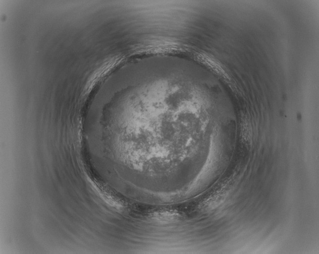 X0000068840586200605051304