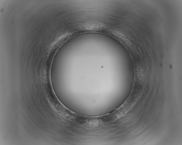 X0000068840587200605051304