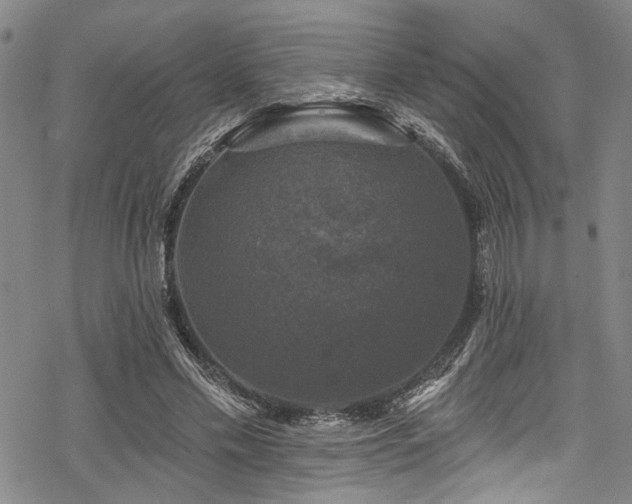 X0000068840589200605051304