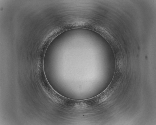 X0000068840591200605051304