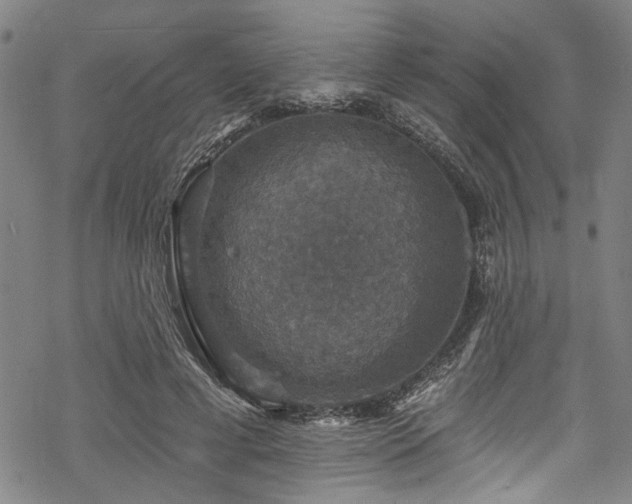 X0000068840593200605051304