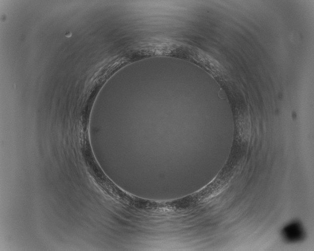 X0000068840594200605051304