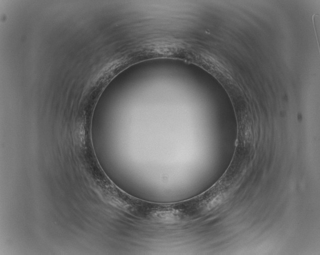 X0000068840595200605051304