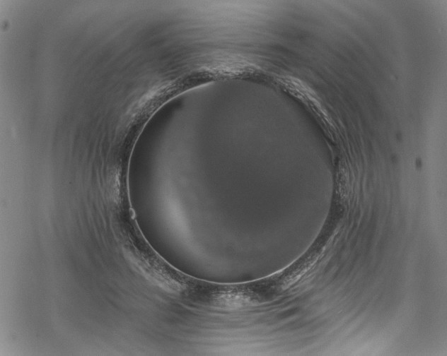 X0000068840596200605051304