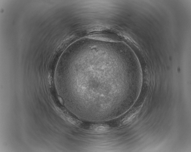 X0000068840597200605051304