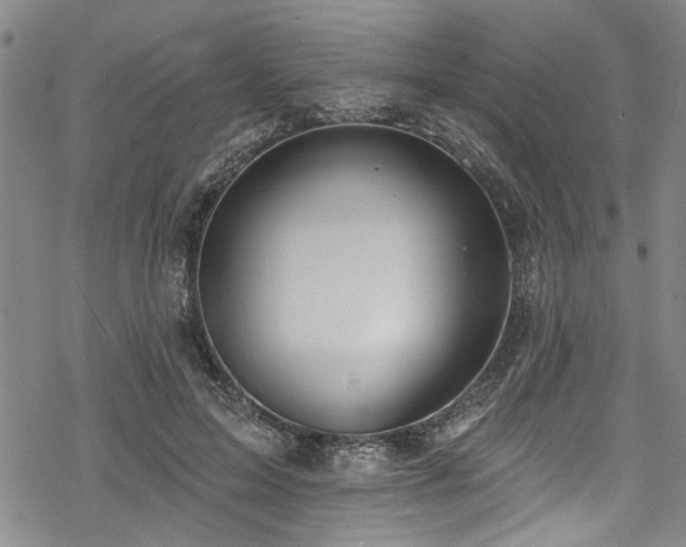 X0000068840599200605051304