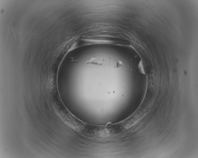 X0000068840600200605051304