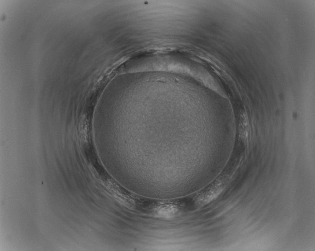 X0000068840604200605051303