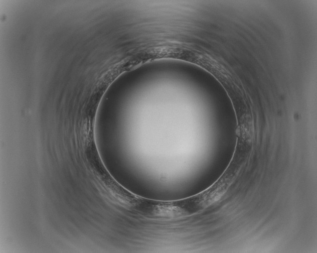 X0000068840605200605051303