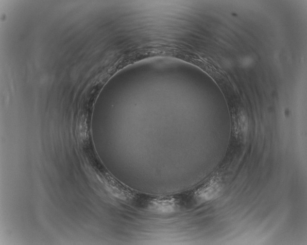 X0000068840606200605051303