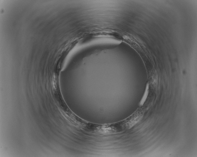 X0000068840607200605051303