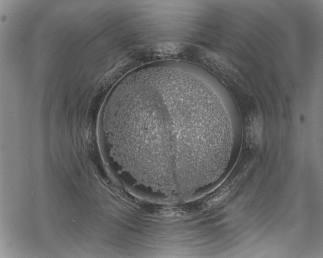 X0000068840608200605051303