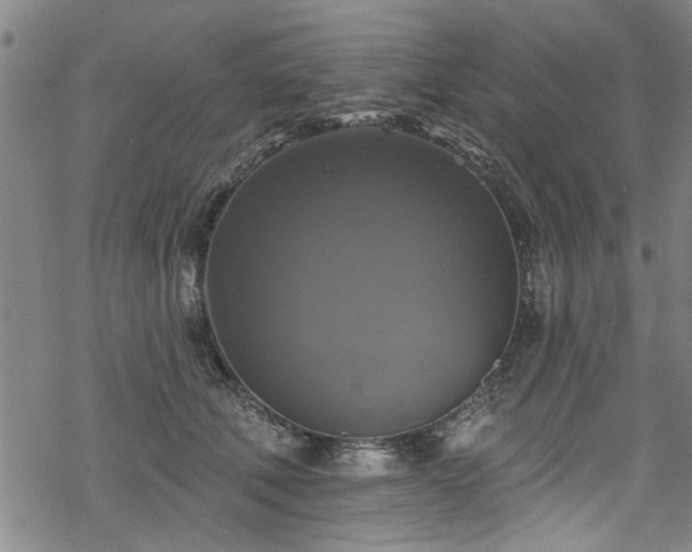 X0000068840610200605051303