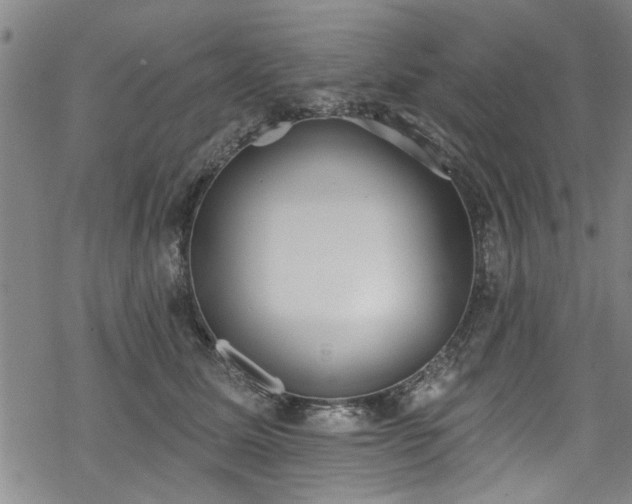 X0000068840611200605051303