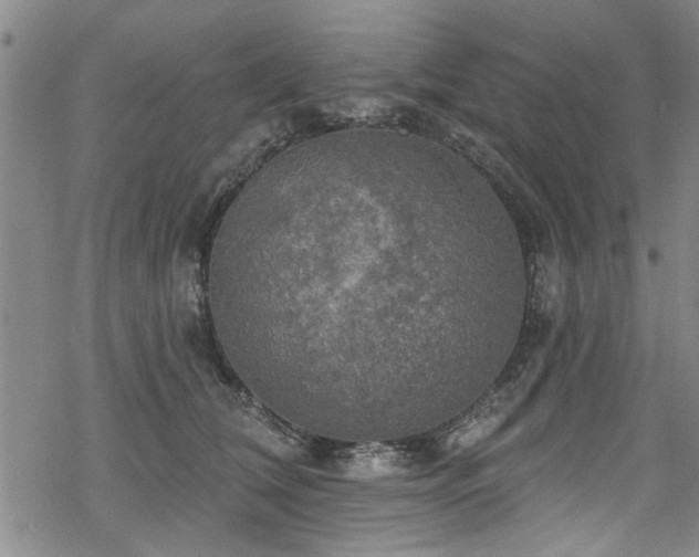 X0000068840612200605051303