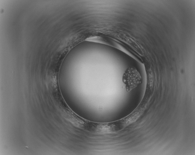 X0000068840613200605051303