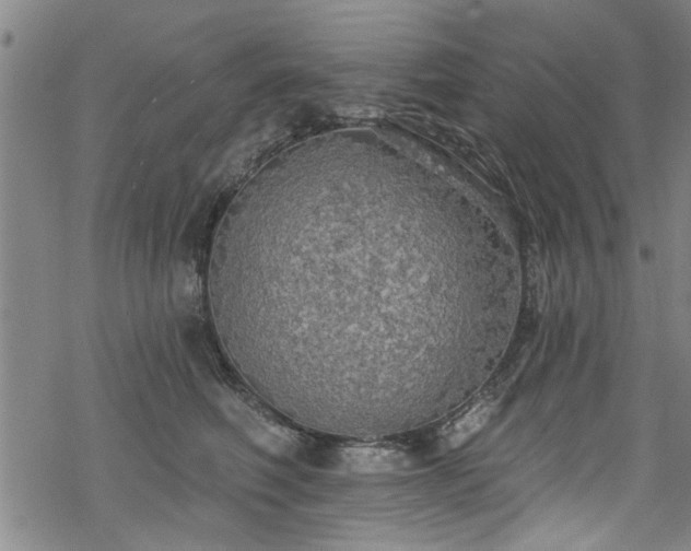 X0000068840614200605051303