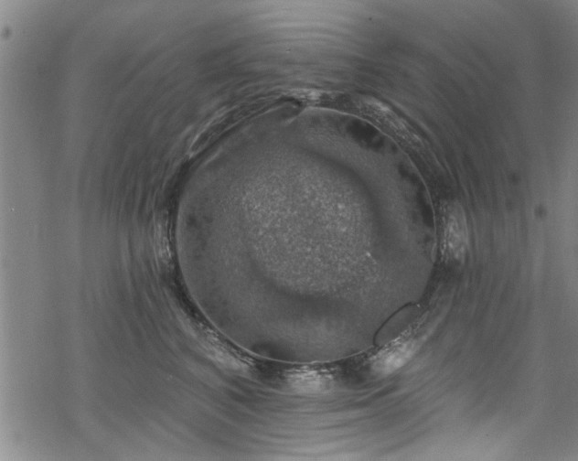 X0000068840616200605051303