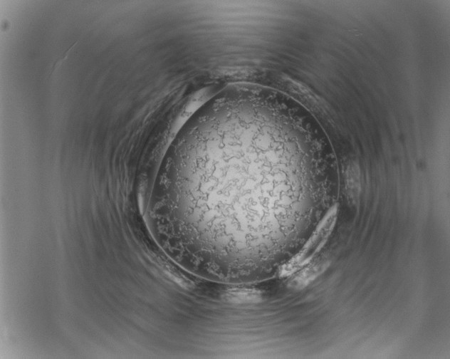 X0000068840617200605051303