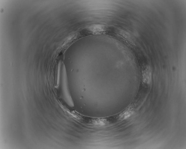 X0000068840618200605051303