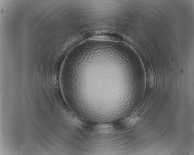 X0000068840619200605051303