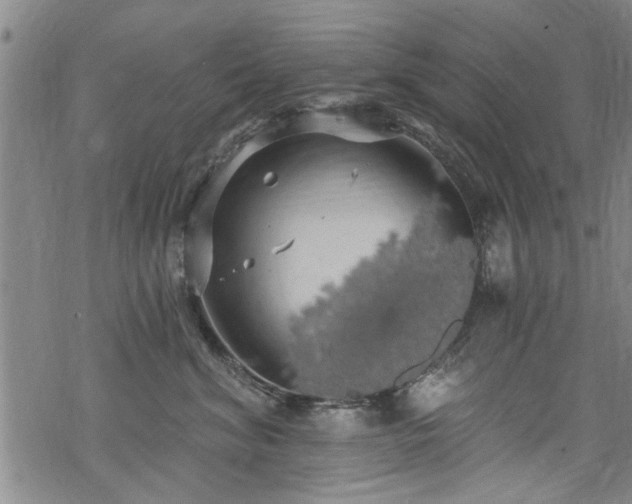 X0000068840620200605051303