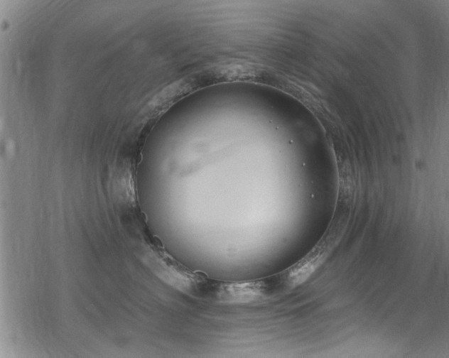 X0000068840622200605051303