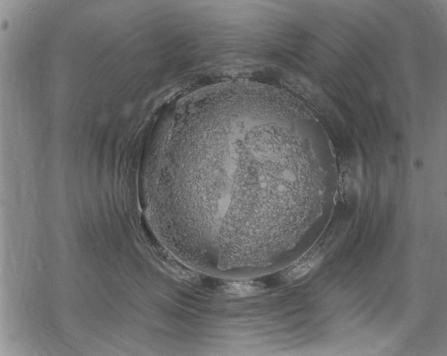 X0000068840623200605051303