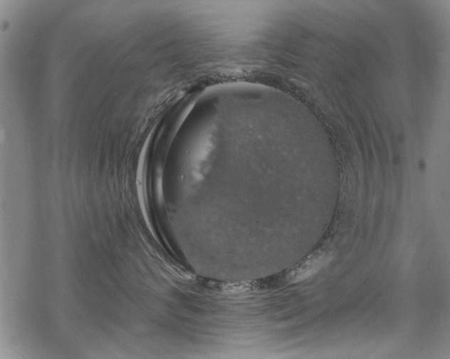 X0000068840624200605051303