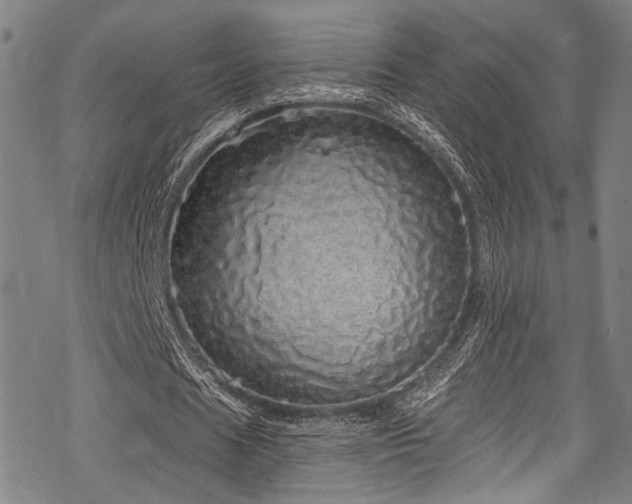 X0000068840625200605051302