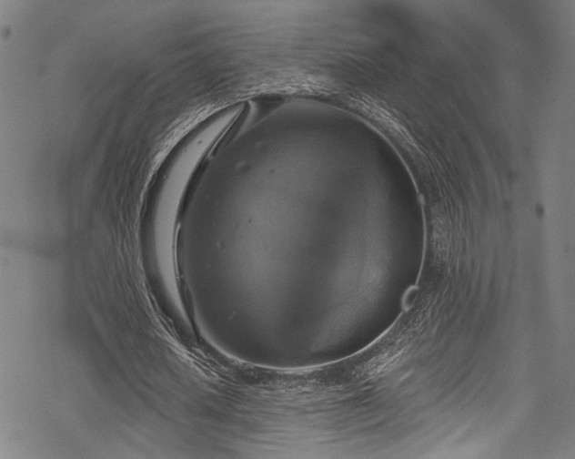 X0000068840626200605051302