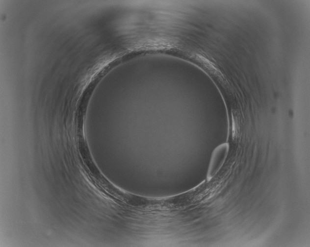 X0000068840627200605051302