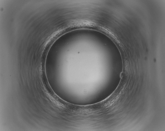 X0000068840629200605051302